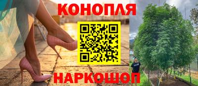 СК Бузулук