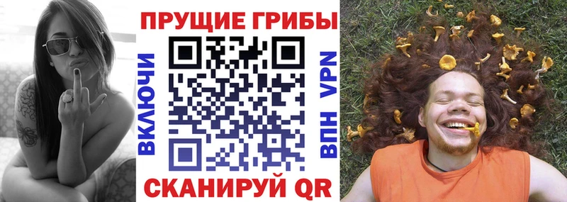 shop как зайти  Донской  Галлюциногенные грибы мицелий  купить  сайты 